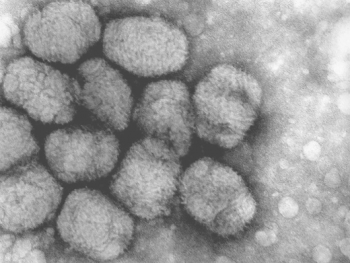 天然痘ウイルス　ワクチンで撲滅